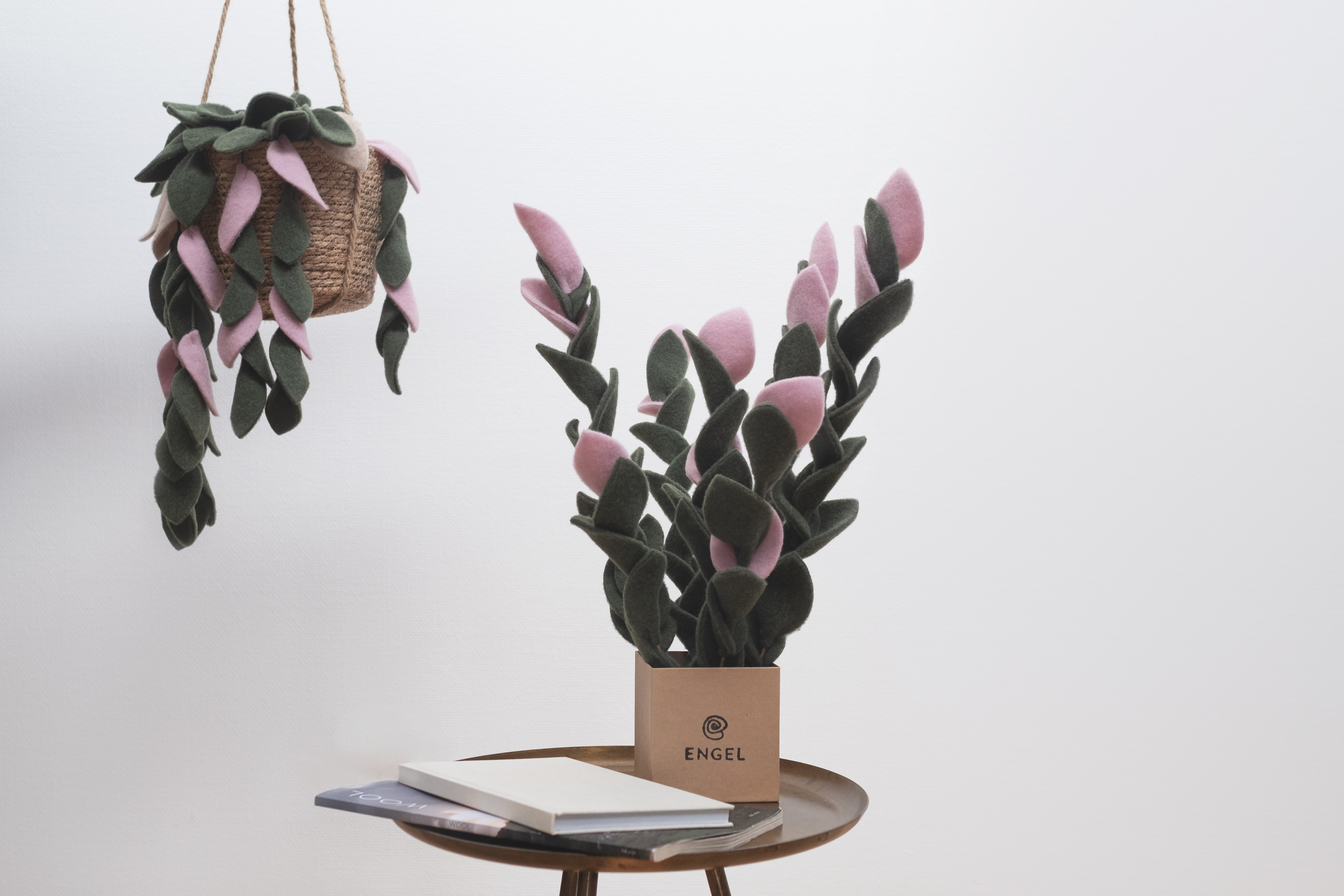 Plant