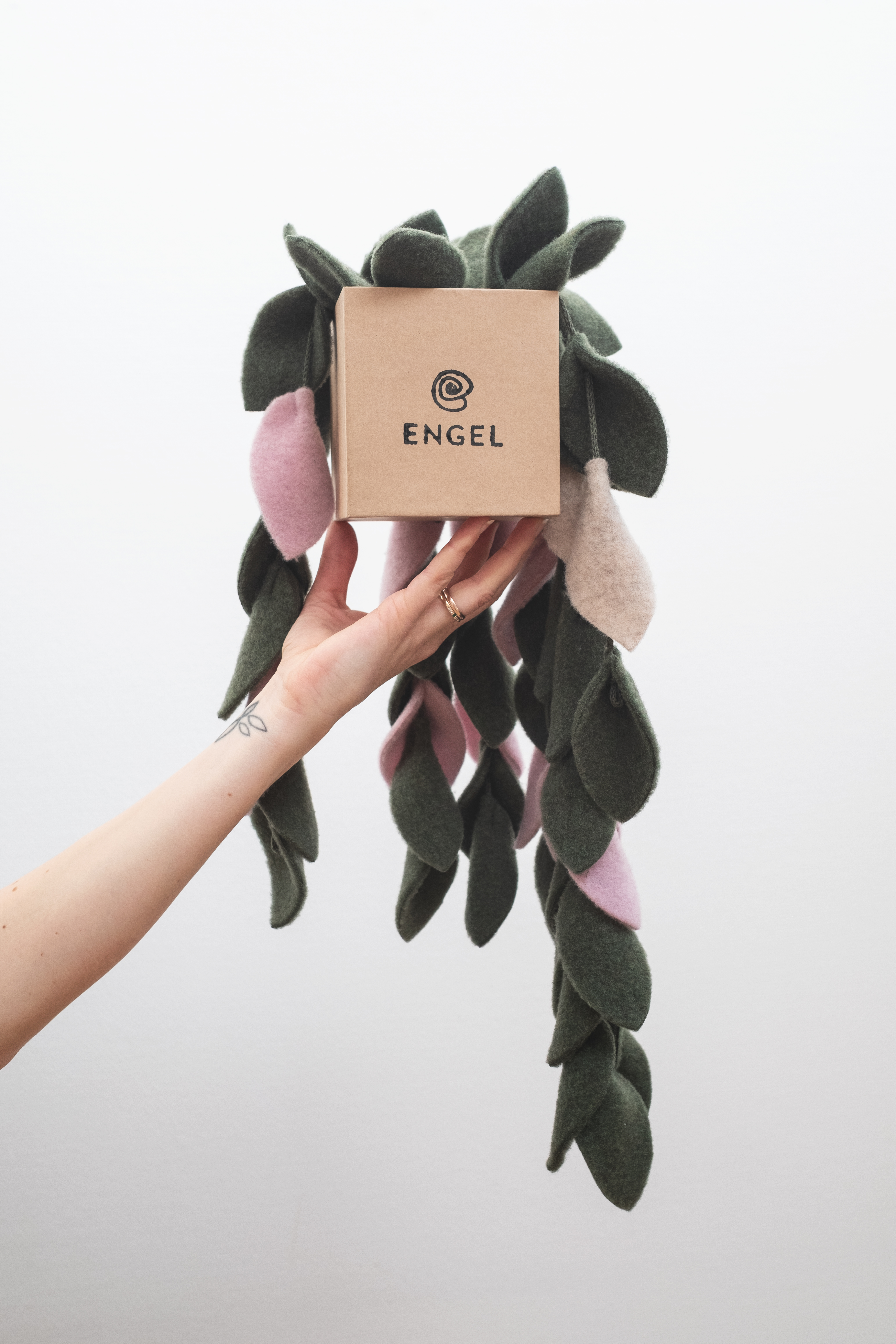 Hanging plant