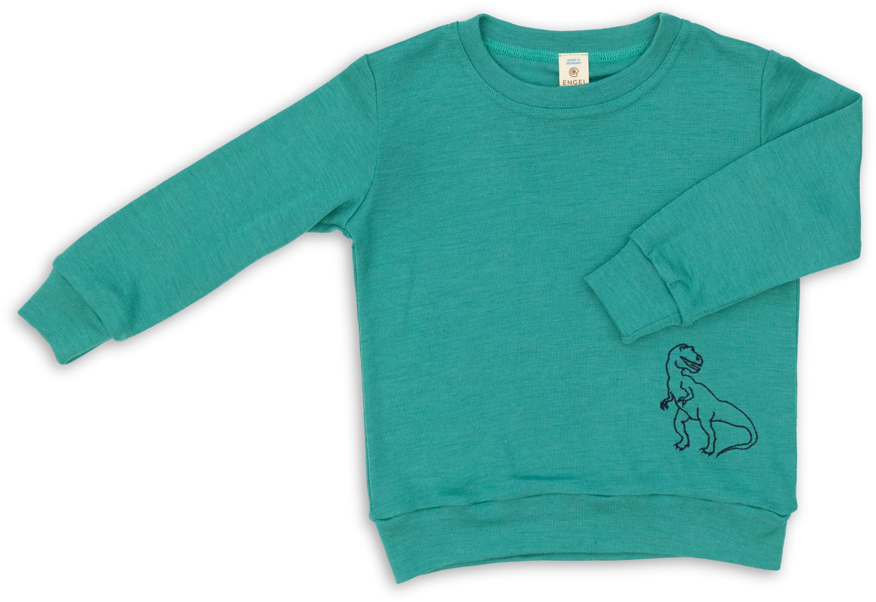 707613 eisvogel