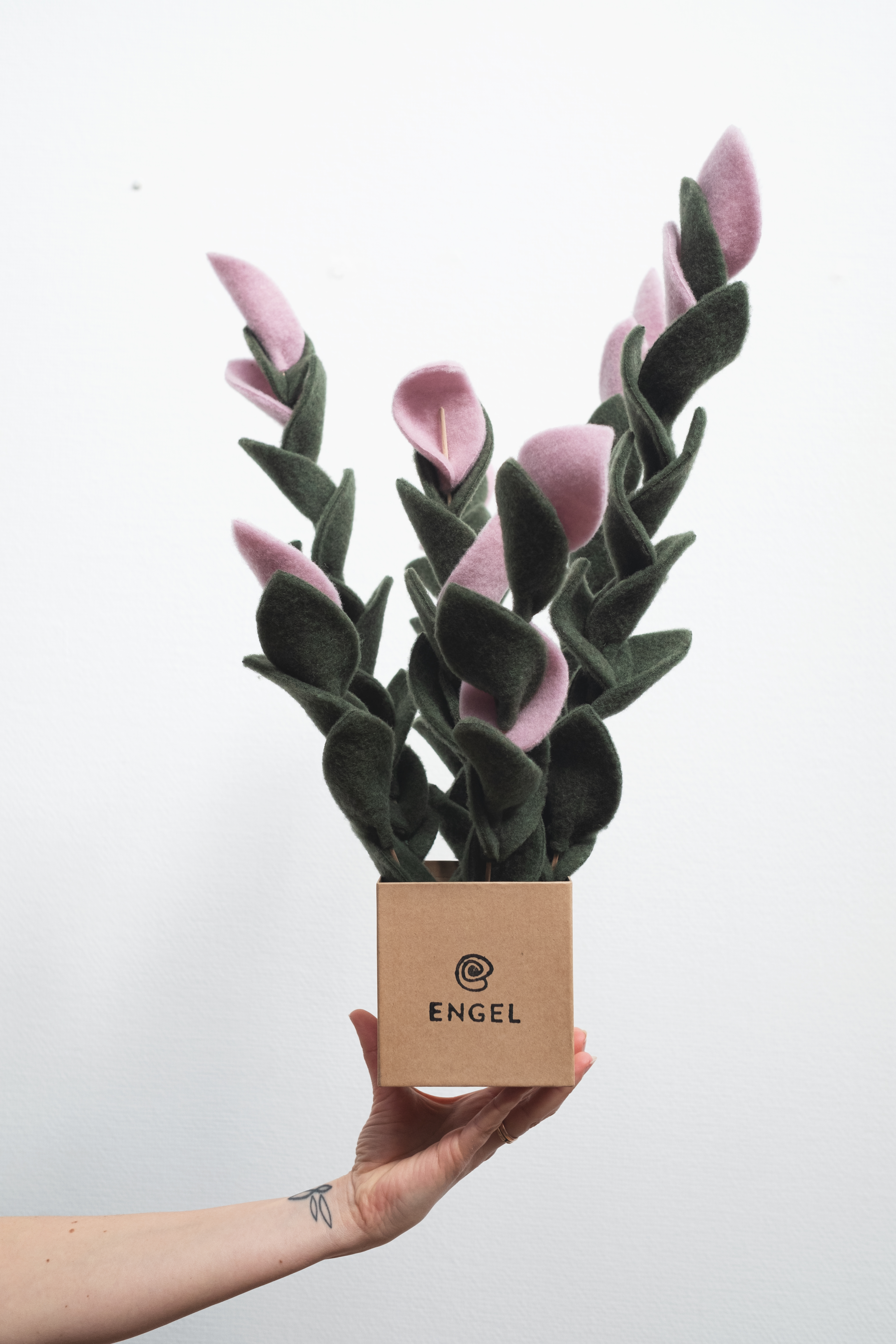 Plant