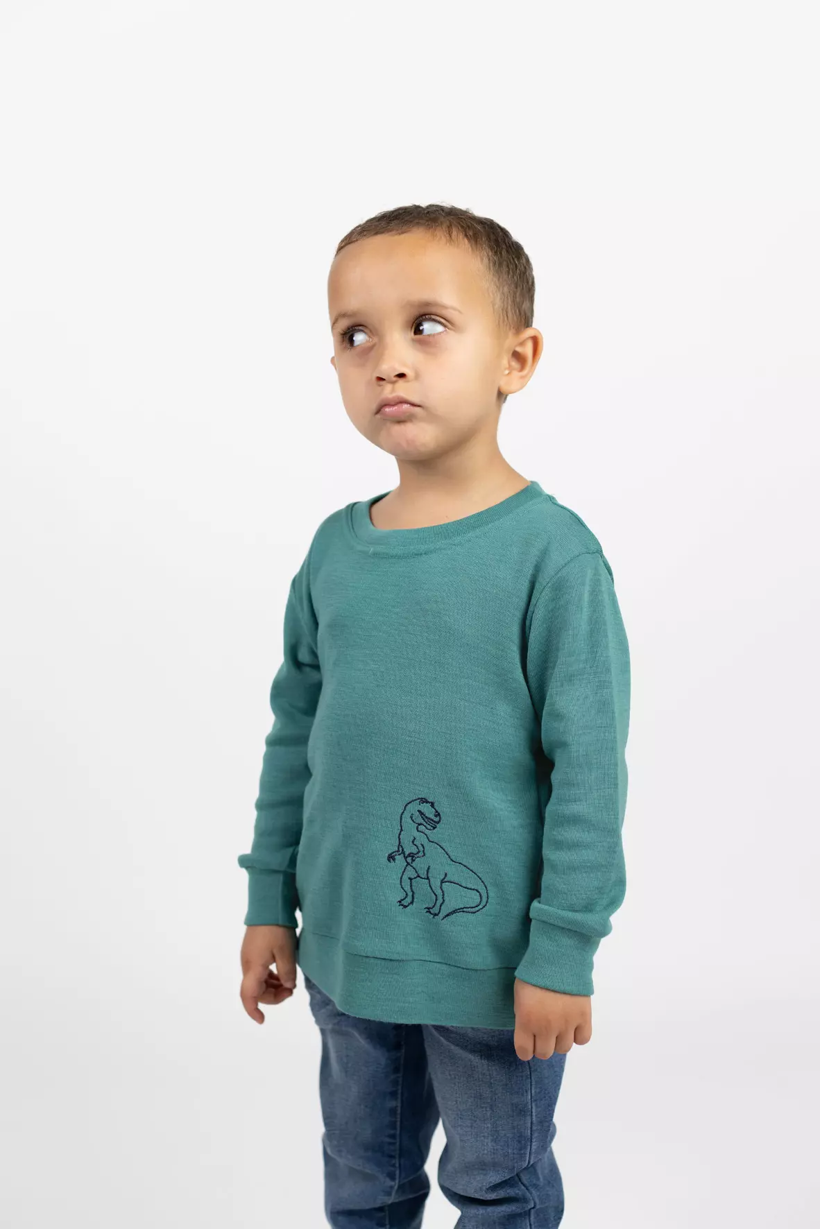 707613 eisvogel