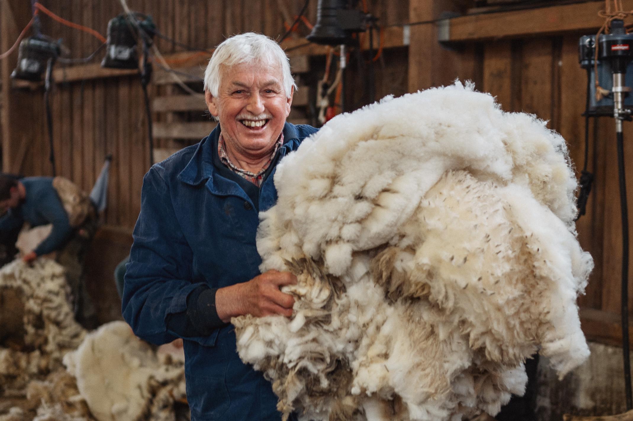 Schäfer hält frisch geschorene Albmerinolandschaf-Wolle aus Süddeutschland für Locwool-Artikel von ENGEL in der Hand.